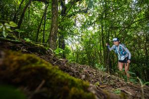 BIB: 
                            <button type="button" onclick="openModal(16008353)" class="btn btn-primary btn-sm float-right btn-popup" data-toggle="modal" data-target=".modal-high-quality">
                        <i class="fas fa-shopping-cart"></i> Add to Cart
                    </button>
                                            <button type="button" onclick="isThisMe(16008353, true)" class="btn btn-success btn-sm float-right btn-popup btn-isme hidden" data-toggle="tooltip" data-placement="bottom" title="นี่คือรูปของคุณใช่ไหม คลิกที่นี่เพื่อเอาเข้าอัลบั้ม">
                        <i class="fas fa-plus"></i> Add to album
                    </button>
                    <button type="button" onclick="isThisMe(16008353, false)" class="btn btn-warning btn-sm float-right btn-popup btn-isnotme hidden">
                        <i class="fas fa-ban"></i> Remove from album
                    </button>